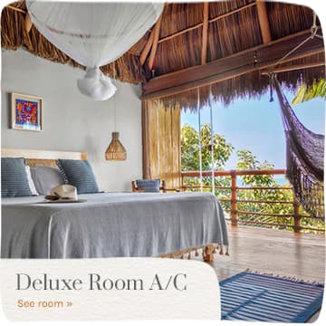 Puerto Vallarta Deluxe Rooms