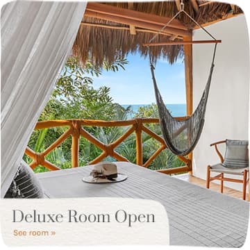 Puerto Vallarta Deluxe Rooms