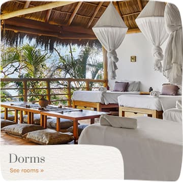 Beach Palapas in Puerto Vallarta