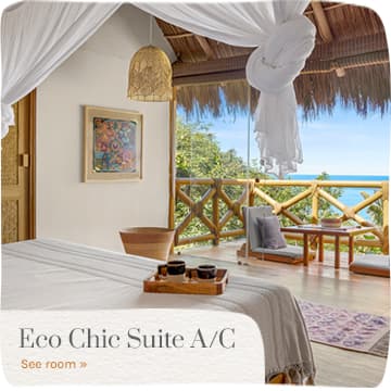 Petite Suite Xinalani