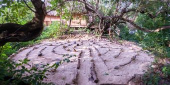 Labyrinths as Meditation Tools