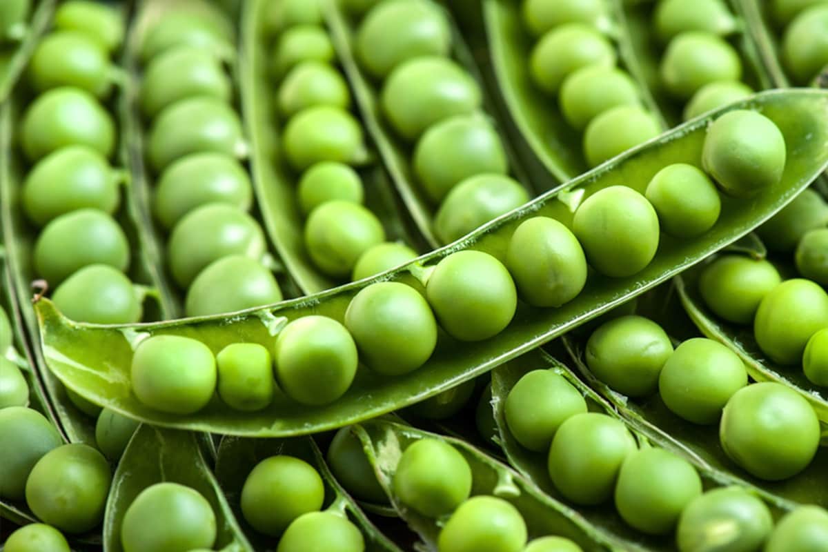 Peas: The Unlikely Superfood