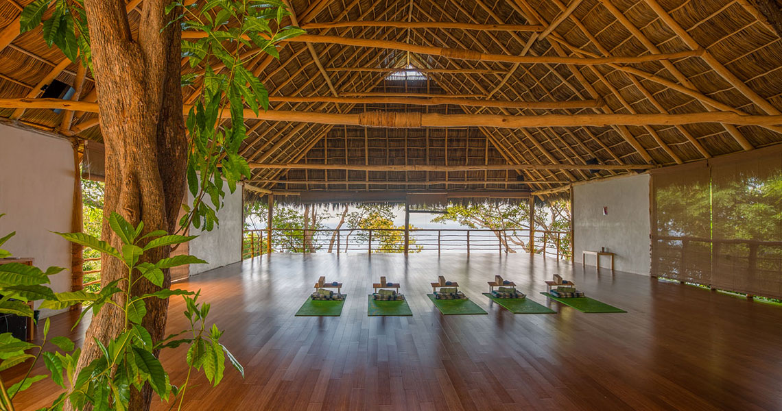 Elévate: Retiro de Yoga & Yoga Aéreo