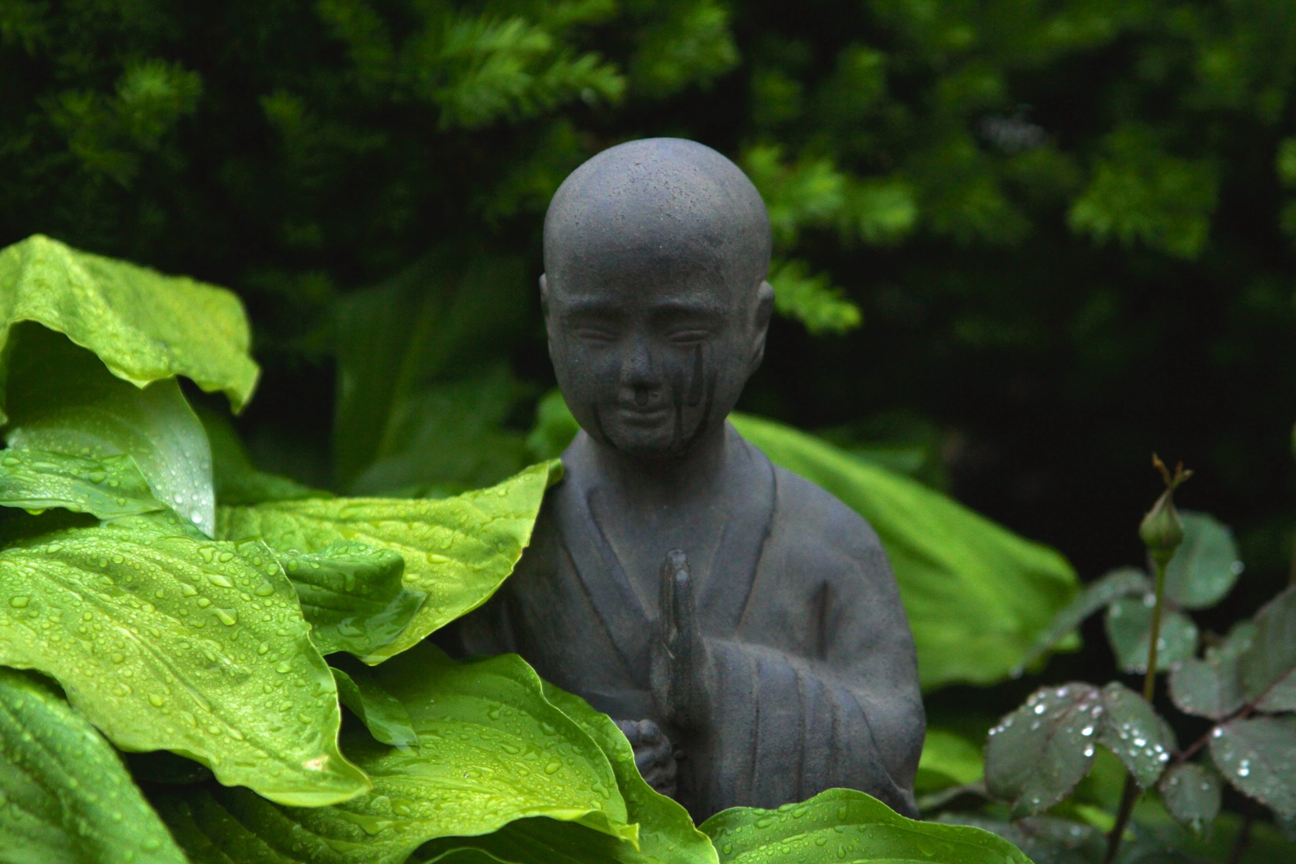 10 essential habits in a Zen monk’s life