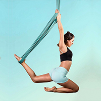 Aerial Wellness Retreat