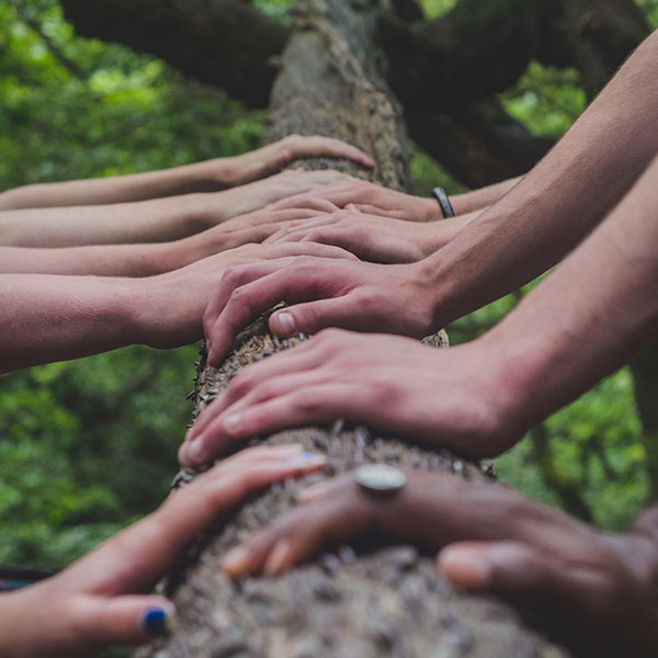 Community Connection
