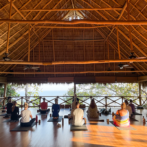 Meditation and Restorative Yoga