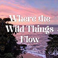 Where the Wild Things Flow