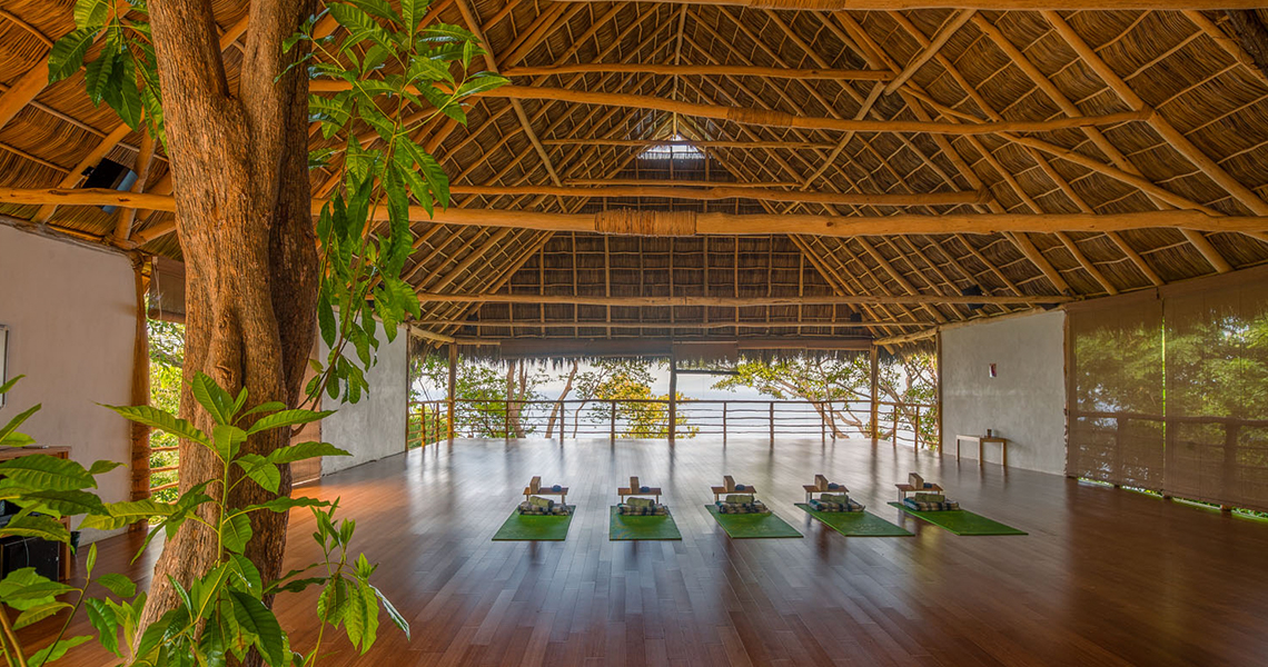 Happiness Yoga Retreat in Paradise