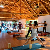 Yoga Iyengar, balance entre cuerpo, mente y alma