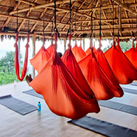 Aerial Wellness Retreat