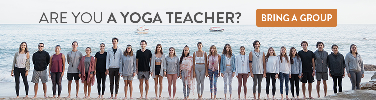 Are yoga retreats a profitable business? - Xinalani - Puerto