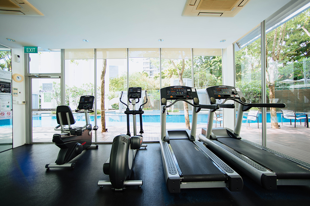 10 Must-Have Exercise Equipment To Stay Fit and Healthy All the Time -  Xinalani - Puerto Vallarta Mexico