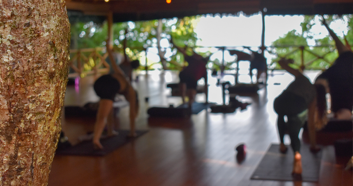 Primal Flow + Elemental Renewal Yoga Wellness Retreat