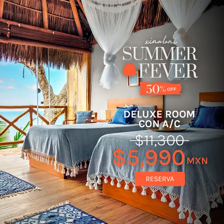 Habitación Deluxe en Puerto Vallarta al 50% de descuento