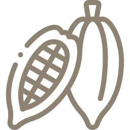 Icon representating Cacao Ceremony