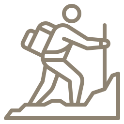 Icon representating Jungle Trek