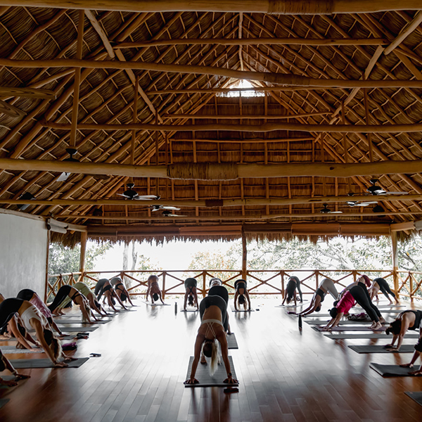 Restorative yoga & sound bath 