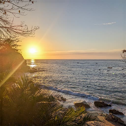 Replenish, Reflect, Reset