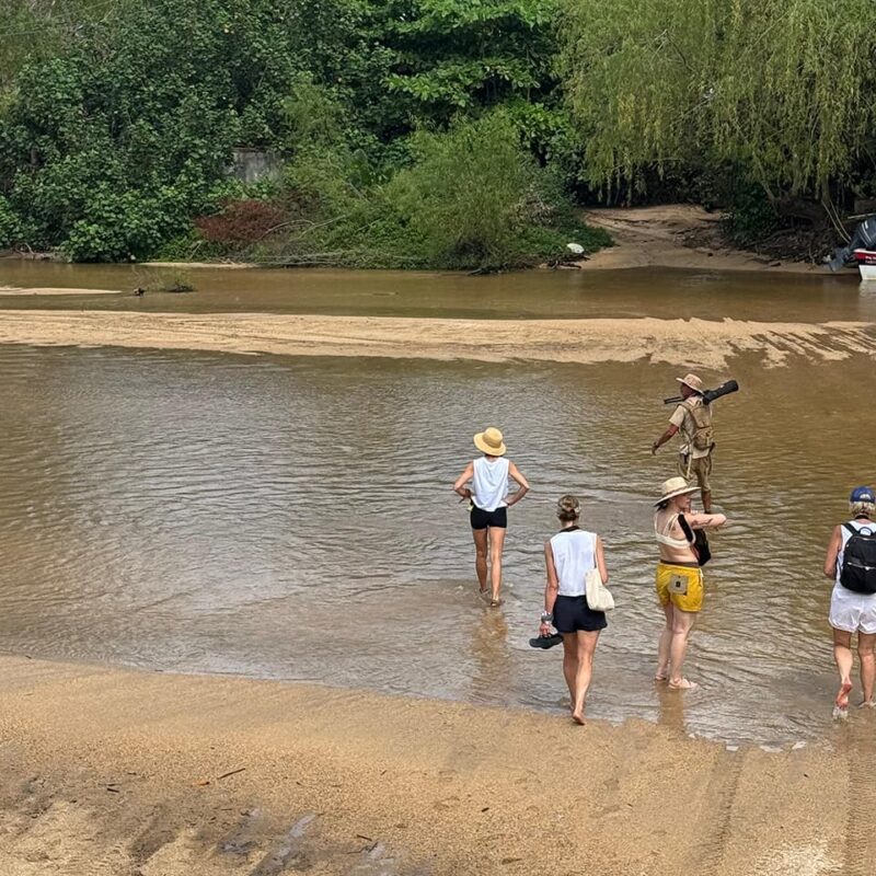 Observación de aves en Xinalani: El arte de mirar con calma