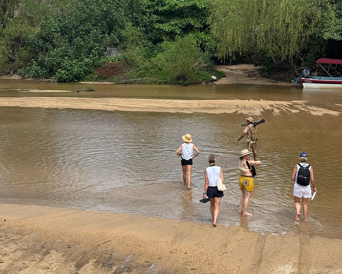 Observación de aves en Xinalani: El arte de mirar con calma