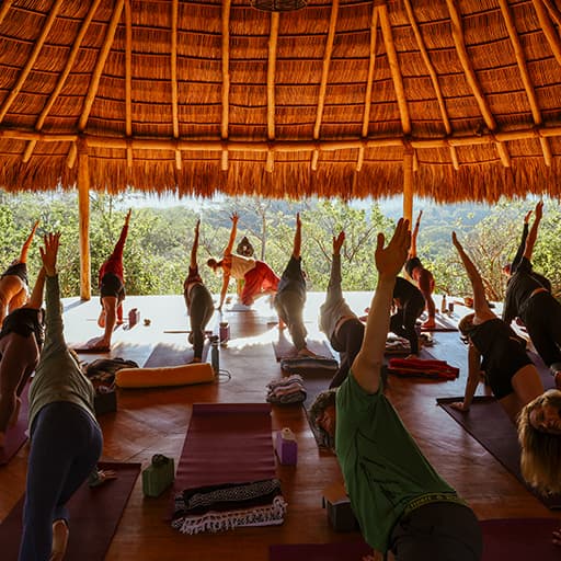 Rewriting Power: Claiming Your Quiet Authority A 7-Day Retreat for Midlife Women in Freelance Medical Writing and CME