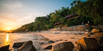 Canadians and Puerto Vallarta: A Love Story Rooted in Wellness and Nature