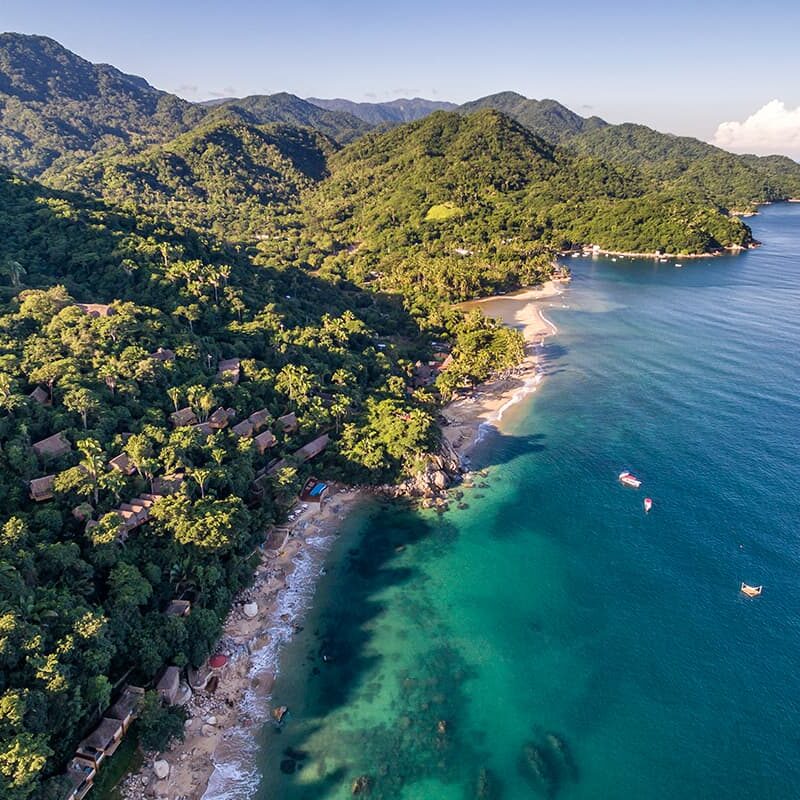 Puerto Vallarta Travel Update – February 2026