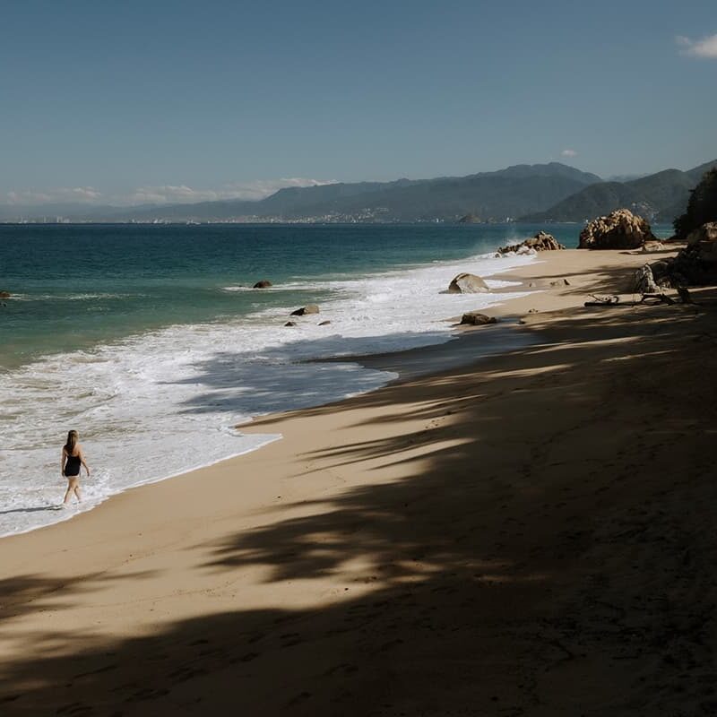 Puerto Vallarta Travel Update – February 25, 2026