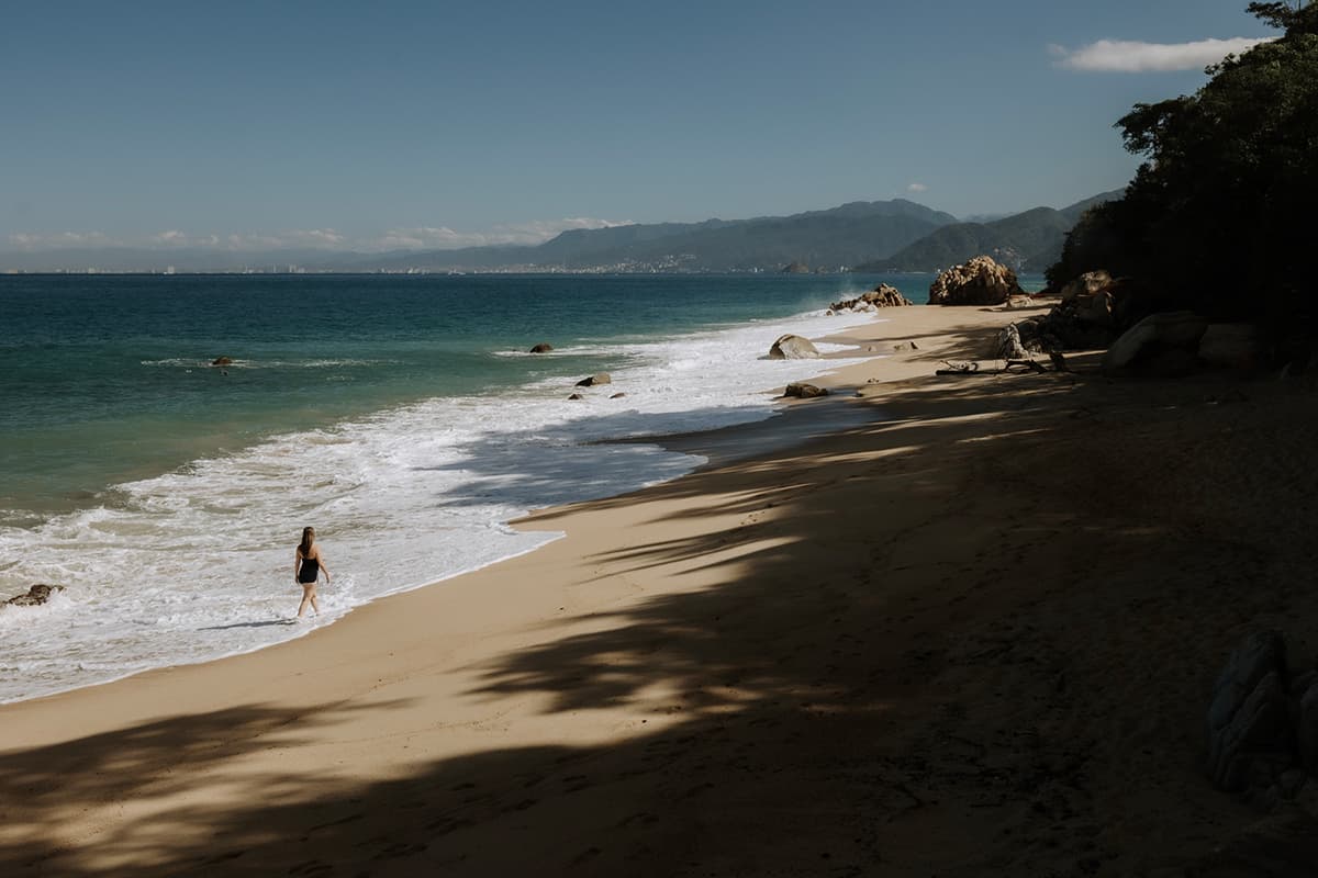 Puerto Vallarta Travel Update – February 25, 2026