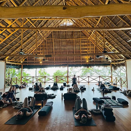 Hot Pilates, Vinyasa, Yin or Meditation Class