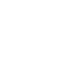 ícono comida saludable