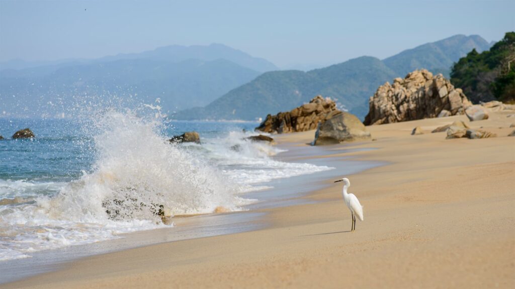 Ocean waves rolling toward shore at Xinalani beach, Puerto Vallarta