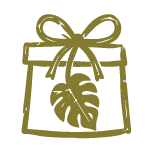 Surprise Christmas Gift